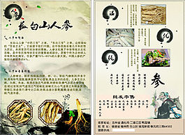 長(zhǎng)白山人參宣傳單