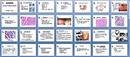 消化系統疾病