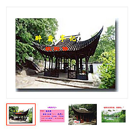 年級語文下冊第28課《醉翁亭記》