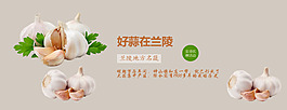 苍山大蒜