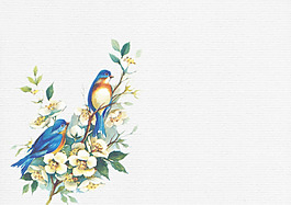 中國風鳥素材