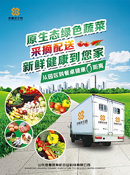 蔬菜宣传单页