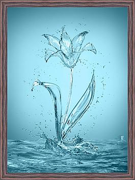 水滴花