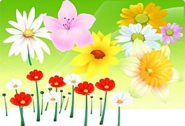 漂亮的鲜花