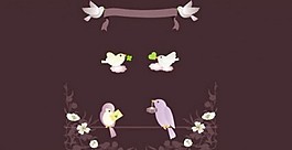 兩類(lèi)可愛(ài)的鳥(niǎo)
