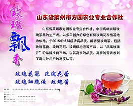 玫瑰1