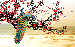 孔雀背景