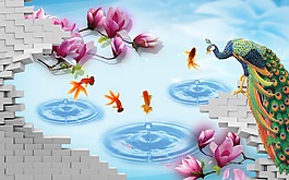 孔雀背景墻