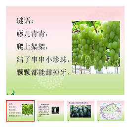 第10课 下册 《葡萄沟》