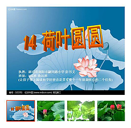 第14課 下冊(cè) 《荷葉圓圓》