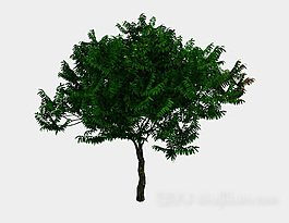 室外綠色植樹3d模型下載