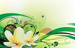 綠色的花