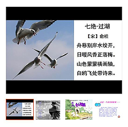 上冊 第21課 《老人與海鷗》