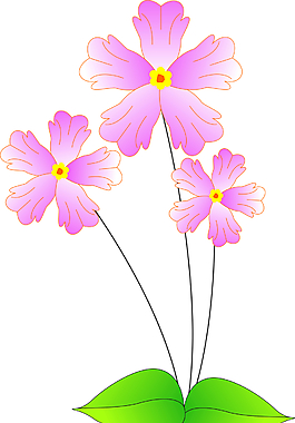 花