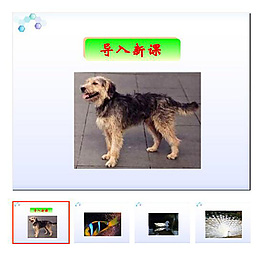 《比尾巴》 一年級