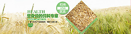 家禽饲料海报