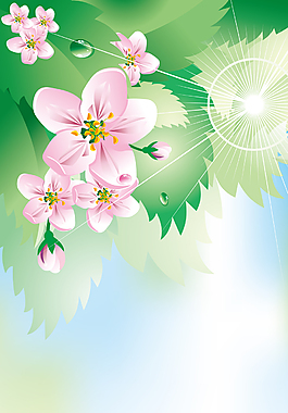 精美简约花儿展架设计模板素材