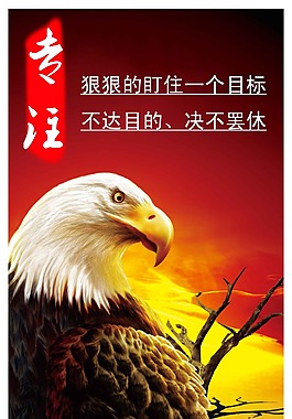企業(yè)文化