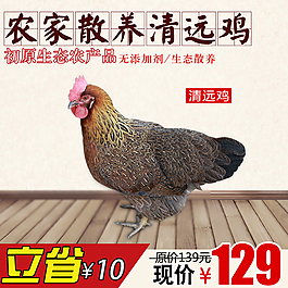 雞肉主圖