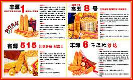 玉米海報
