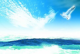 大海飛鳥海報