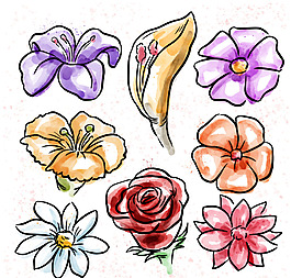 盛开的花与水彩画
