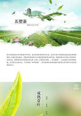 五圣茶 茶詳情頁PSD免費下載