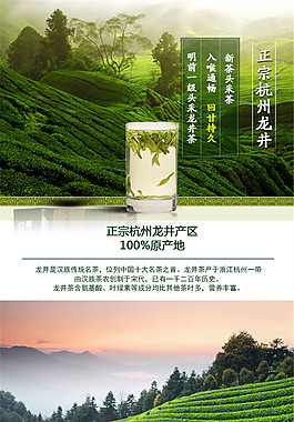 杭州龍井 茶詳情頁P(yáng)SD免費(fèi)下載