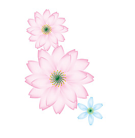 花花