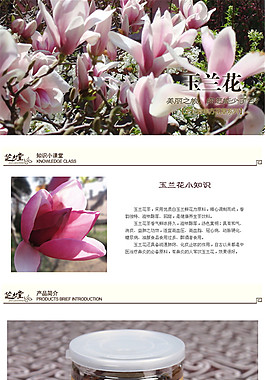 玉蘭花 茶詳情頁P(yáng)SD免費(fèi)下載