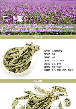 馬鞭草茶詳情頁PSD免費下載