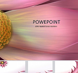 鮮花PPT