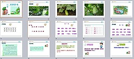 瓜娃娃打電話課件