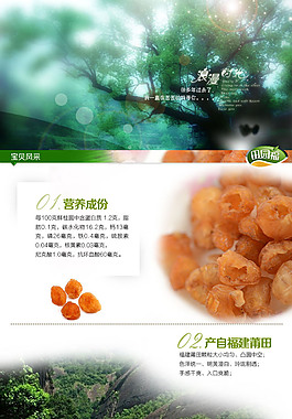 桂圓干詳情頁(yè)psd下載