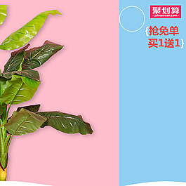 清新文藝聚劃算主圖
