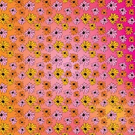 彩色的花朵圖案