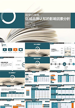 區域品牌認知的影響因素分析——農林經濟管理畢業論文答辯ppt模板