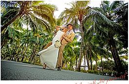 影樓婚紗相冊全景模板