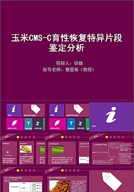 農業題材開題報告PPT模板