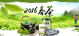 春茶