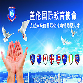 盖伦教育