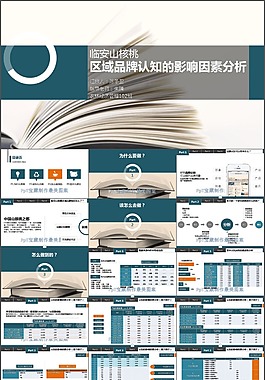 品牌畢業(yè)答辯PPT模板