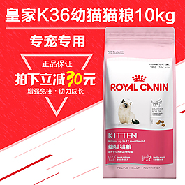 宠物猫粮