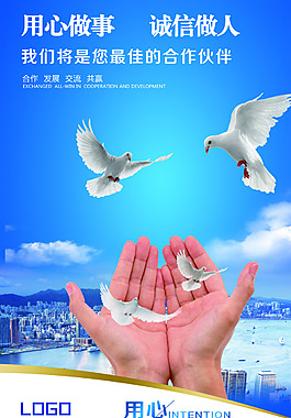 公司理念