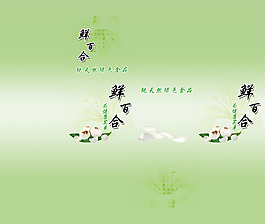 鮮百合