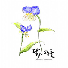 水彩花卉插画源文件