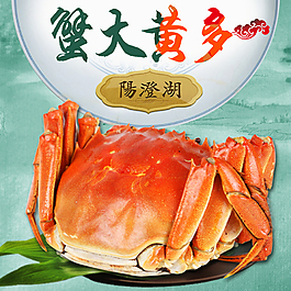 陽(yáng)澄湖大閘蟹淘寶詳情頁(yè)介紹主圖蟹大黃多