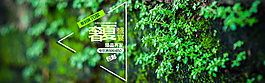 淘寶夏季背景素材