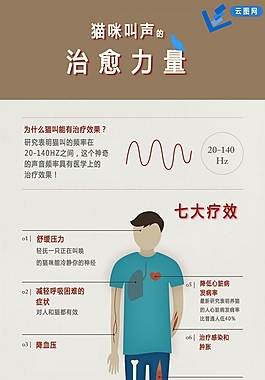 暗黑研究-貓咪叫聲的治愈力量