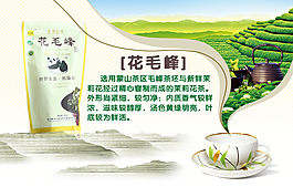 綠毛峰